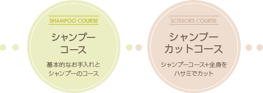 シャンプーコース、シャンプーカットコース